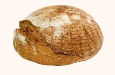 Pane Integrale, Verità e Falsi Miti: Ecco Perché Bisognerebbe Mangiarlo Ogni Giorno