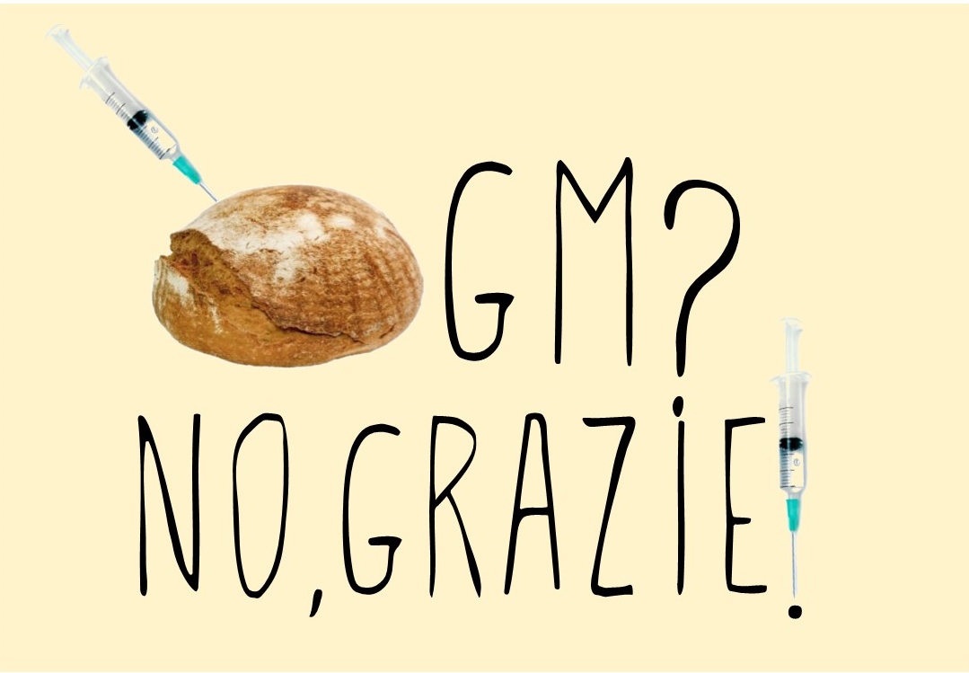 allarme OGM