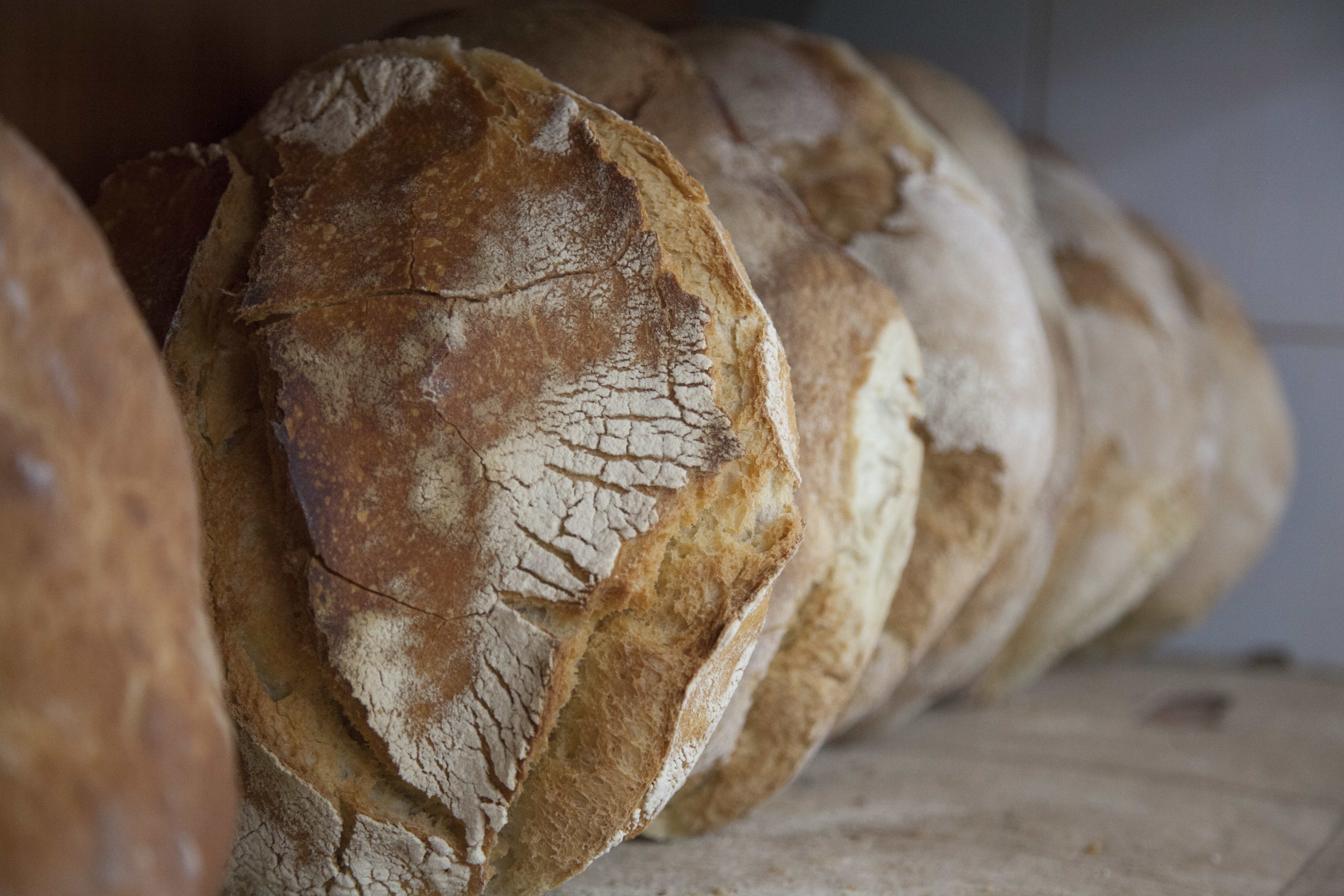 il pane di matrice
