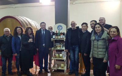 Molise Export Day: Il Pane di Matrice, tra le eccellenze del basso Molise con il Consorzio Destinazione Molise