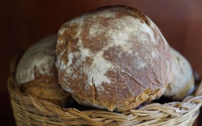 Buono Come il Pane: 7 Buone Ragioni per Mangiare Pane