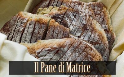 Grani Antichi Cappelli e Saragolla: la Nostra Filiera Certificata